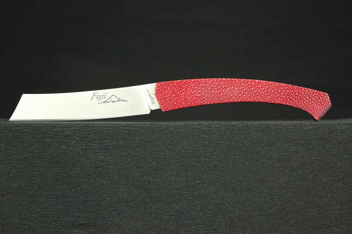 Fuji-12c27-galucha-rouge-230.jpg