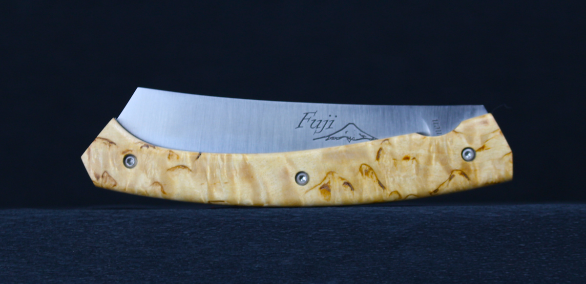 IMG_6397-Fugi Boulot de norvege