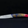 IMG_6485-Thiers-Erable9